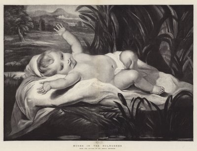 Moses in the Bulrushes by Joshua Reynolds